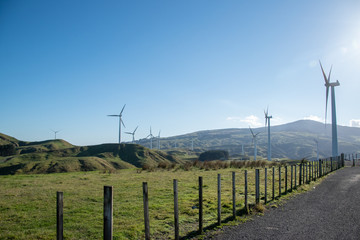 Fototapeta premium wind turbines in the field