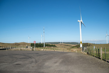 Fototapeta na wymiar wind turbines palmerston north