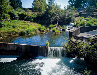 Fototapeta premium Scenic Upper Tumwater Falls cascading into a creek with a dam and a walkway trees grass in a popular park in Thurston County Western Washington in the summertime.