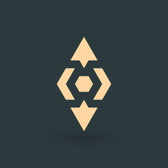 Logistics or delivery logo template. Hexagon with four arrows in different directions. Express money, internet digital fast transfer icon. logistic delivery courier provider.