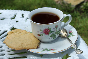 Teacup and saucer with cookie