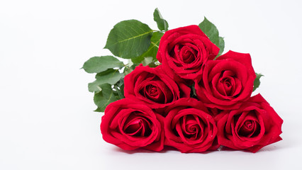 Red rose flowers on white background.