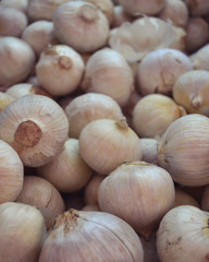 Central de Abastos Market, Mexico City / Mexico Dec 22 2009 A lot of tomatoes in a Mexican market, The tomato is consumed in diverse ways, raw or cooked, in many dishes, sauces, salads, and drinks. 