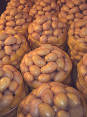 Central de Abastos Market, Mexico City / Mexico Dec 22 2009 A lot of tomatoes in a Mexican market, The tomato is consumed in diverse ways, raw or cooked, in many dishes, sauces, salads, and drinks. 