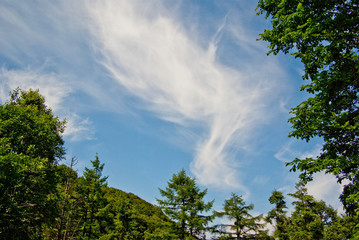 青空に白い雲が流れる