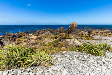 Red Rocks - Pariwhero, New Zealand