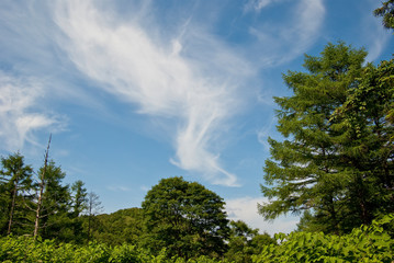 青空に白い雲が流れる