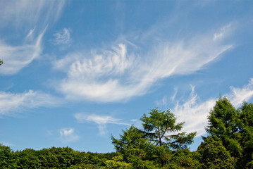 Obraz premium 青空に白い雲が流れる