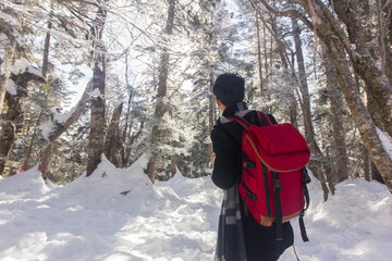 Traveler man with red backpack standing  in pine trees forest in winter season in Shinhotaka ropeway, Japan