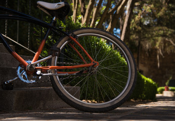 Close up of a Bicycle in a park