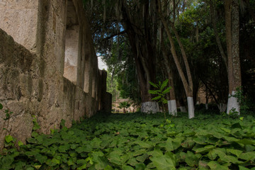 View of the beautiful Old Plantation ( Ex hacienda de San Miguel Regla) in Hidalgo, Mexico