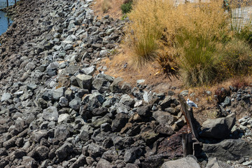 crumbling asphalt and stone wall barrier near water