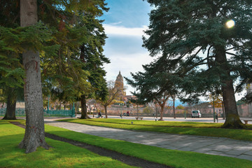 Trees in the Park of Segovia Spain