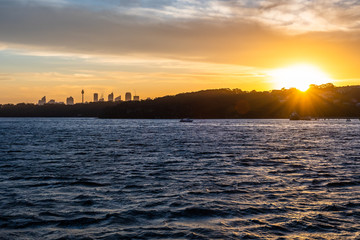 Fototapeta premium Backlight skyline of Sydney CBD from the bay at sunset