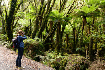 Obraz premium Treking for the incredible jurassic forest in New Zealand on the path up to the Fox glacier, on the west coast of the South island, New Zealand