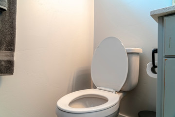 Toilet and vanity cabinet with tissue roll holder against white wall of bathroom
