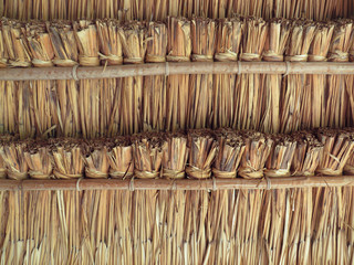 Close up of a dry palm leaves roof . Caribbean beach sunroof. View from below of a thatched...