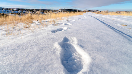 Fototapeta na wymiar Panorama Footprints on fresh white snow covering the road during cold winter season