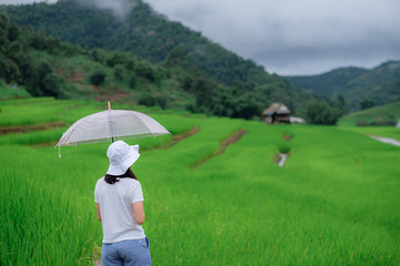 Travel and take pictures at the top of the mountains in northern Thailand