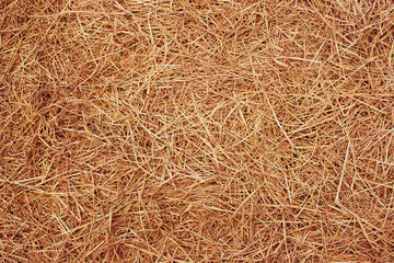 Straw surface texture. Cultivate and harvest concept.