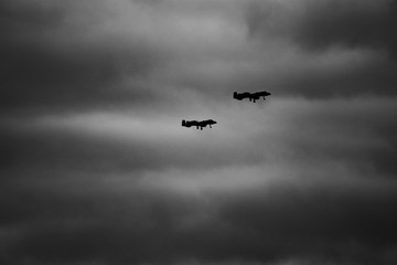 A-10 Warthogs Black and White