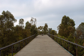 Fototapeta na wymiar Paisaje con pasarela entre los árboles para contemplar el cielo y la naturaleza