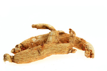 Ginseng on a white background