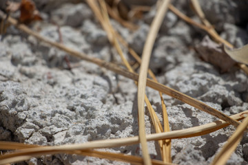 concrete texture with dry straw