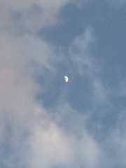 morning moon
