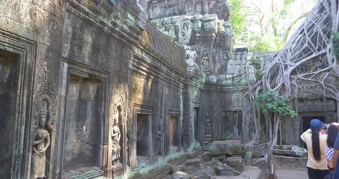 Ancient stone ruin and tree root at Ta Prohm Temple in Angkor wat complex, Siem Reap Cambodia.