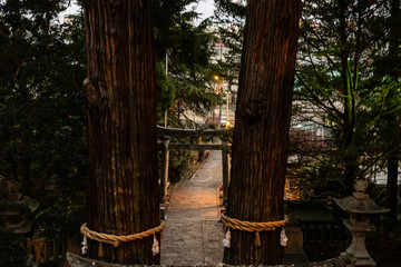 the road leading to a Japanese shinto temple