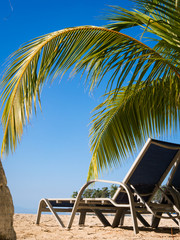 Chairs on Caribbean beach with coconuts tree at Roatán, Honduras