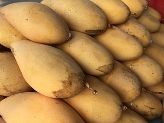 pile of potatoes