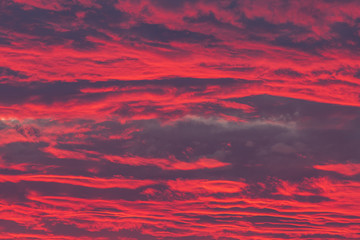 Fototapeta premium 真っ赤に染まる夕焼け雲