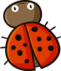 Cute and funny orange ladybug from top view
