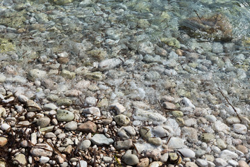 shore with stones
