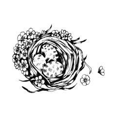 Obraz premium The nest and eggs. Hand-drawn, white background. Vector