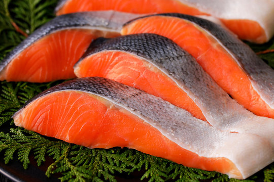 銀鮭　Japanese style Silver salmon fillet