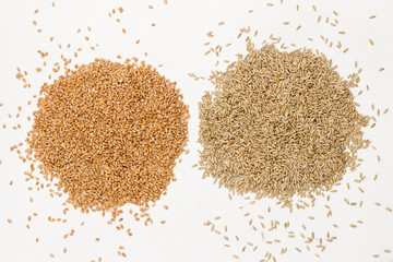 Whole grains of rye on black background. Healthy carbohydrates. Dietary fiber