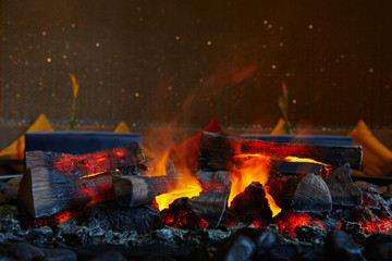 firewood and coals burning in the flame