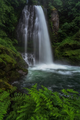 Fototapeta na wymiar Forest Waterfall - Oregon Wilderness