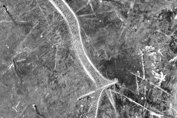 Obraz premium Last year's grass under spring transparent ice close-up, top view. Monochrome natural abstract background
