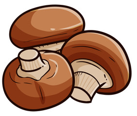 Cute and funny big rounded mushroom ready to get cooked