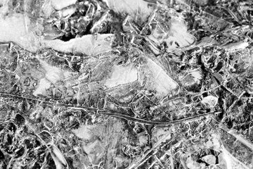 Last year's grass under spring transparent ice close-up, top view. Monochrome natural abstract background