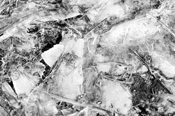 Last year's grass under spring transparent ice close-up, top view. Monochrome natural abstract background