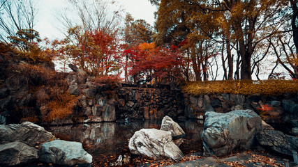 秋　紅葉　公園　