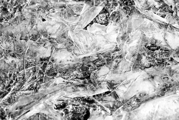 Last year's grass under spring transparent ice close-up, top view. Monochrome natural abstract background
