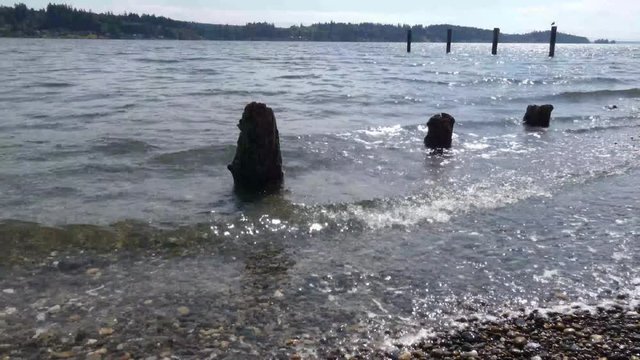 Old worn down pilons sticking out of the water