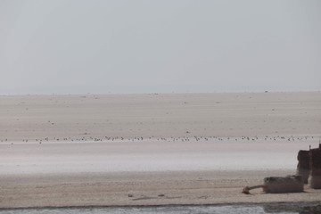 Dholavira - Gujarat - India