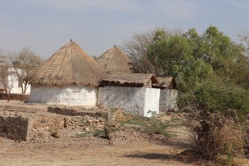 Rural House
